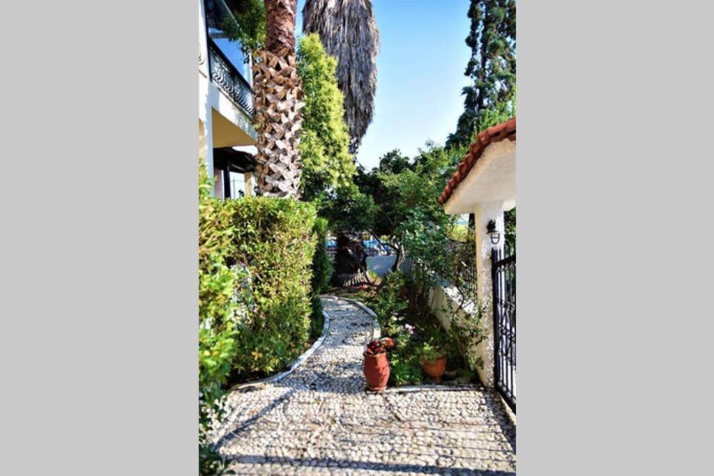 Calma Luxury Apartments #4 Sozopoli In Halkidiki Εξωτερικό φωτογραφία